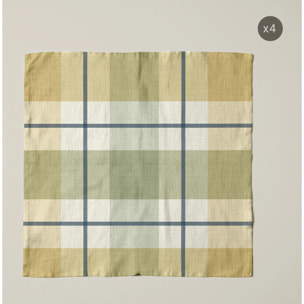 Lot de 4 serviettes Teli