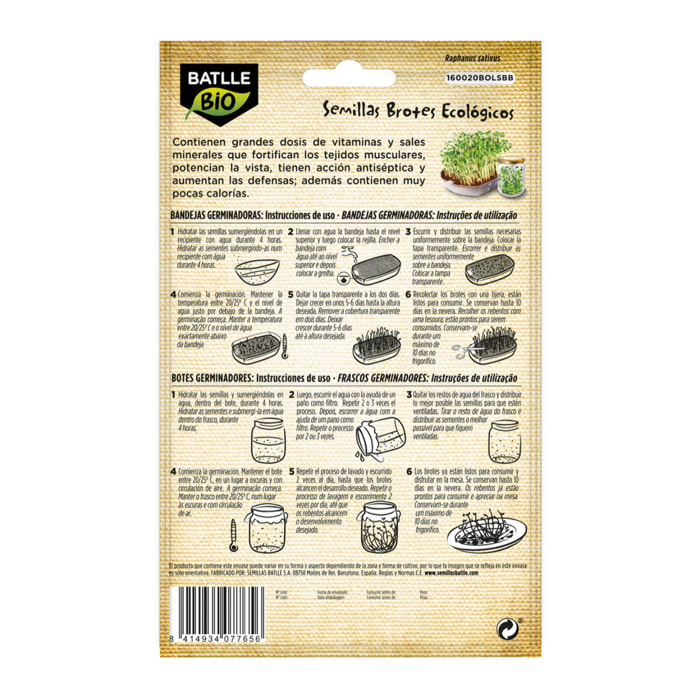 Semillas de Rabanito Sango ecológicas para germinados Batlle