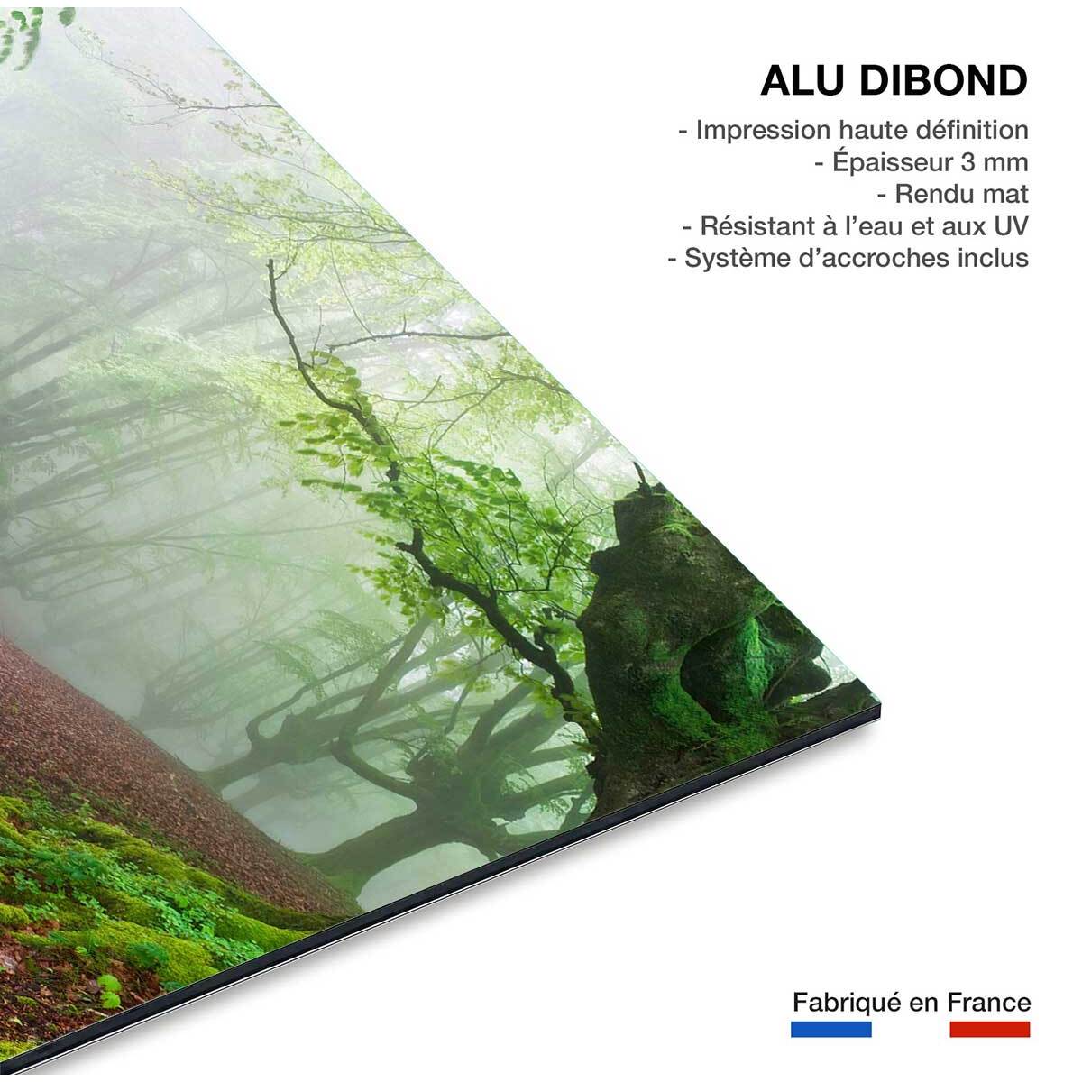 Tableau paysage de foret renaissance verte  Tableau alu Dibond