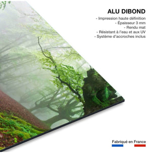 Tableau paysage de foret renaissance verte  Tableau alu Dibond