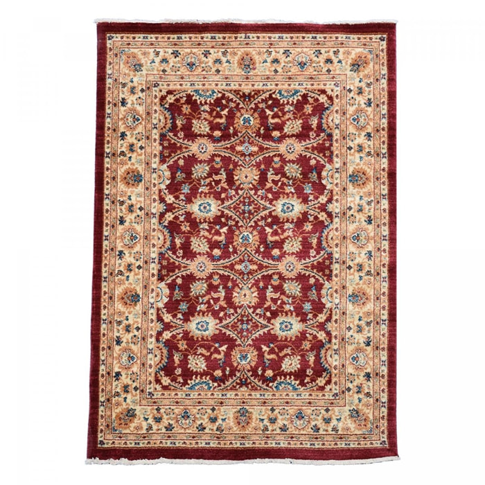 Tapis épais de 120x180 aux motif floraux traditionnels orientaux