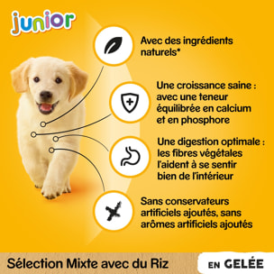 PEDIGREE Junior 48 Sachets fraîcheur en gelée 4 variétés pour chiot 100g (4x12)