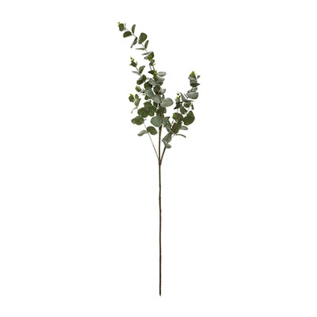 Branche eucalyptu katerina 98cm