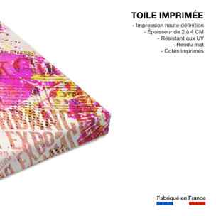 Tableau pop art snoopy graff  Toile imprimée