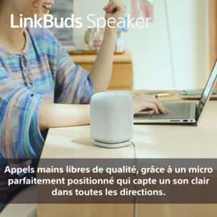 Enceinte portable SONY LINKBUDS Speaker Grise