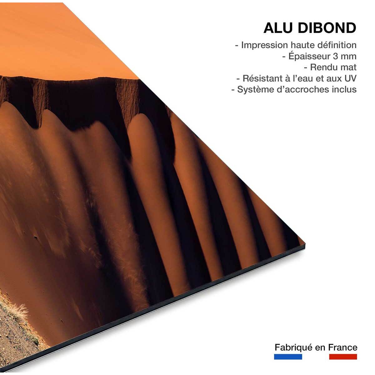 Tableau L'arbre sur la dune, Namibie Tableau alu Dibond