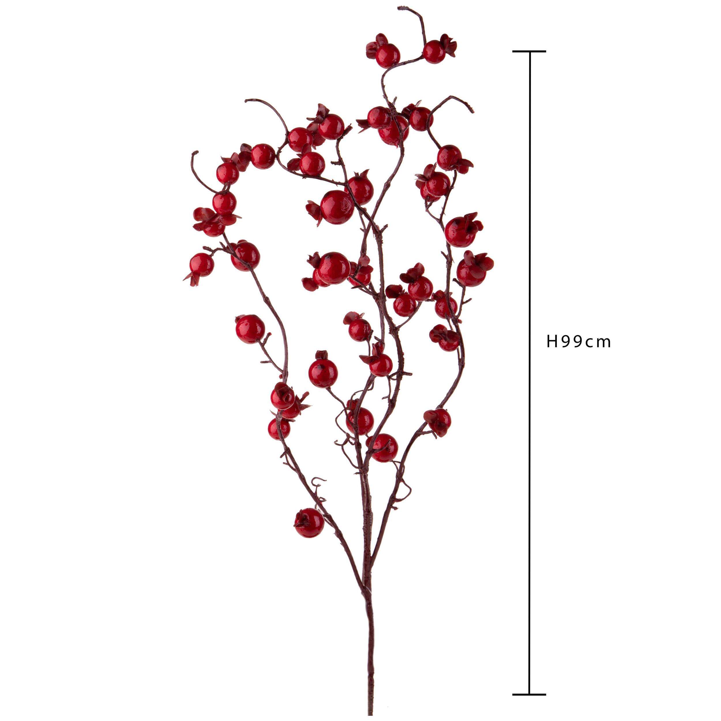 Ramo - Pezzi 12 - 22xH99x18cm - Bianchi Dino SpA