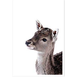 Affiche enfant faon sous la neige  Affiche seule