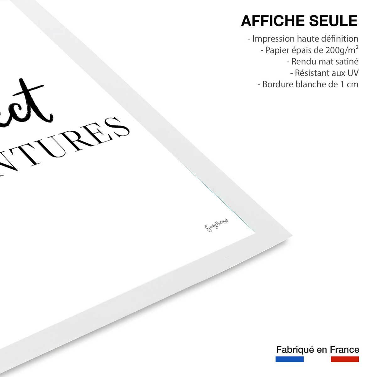 Poster collect adventure Affiche seule