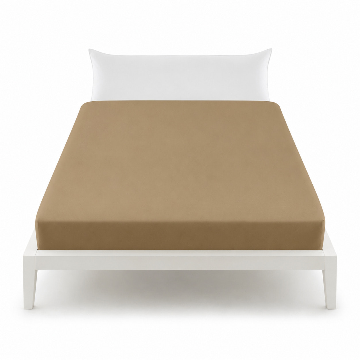 BASSETTI Lenzuolo con Angoli 100% Cotone_ Singolo_Corda