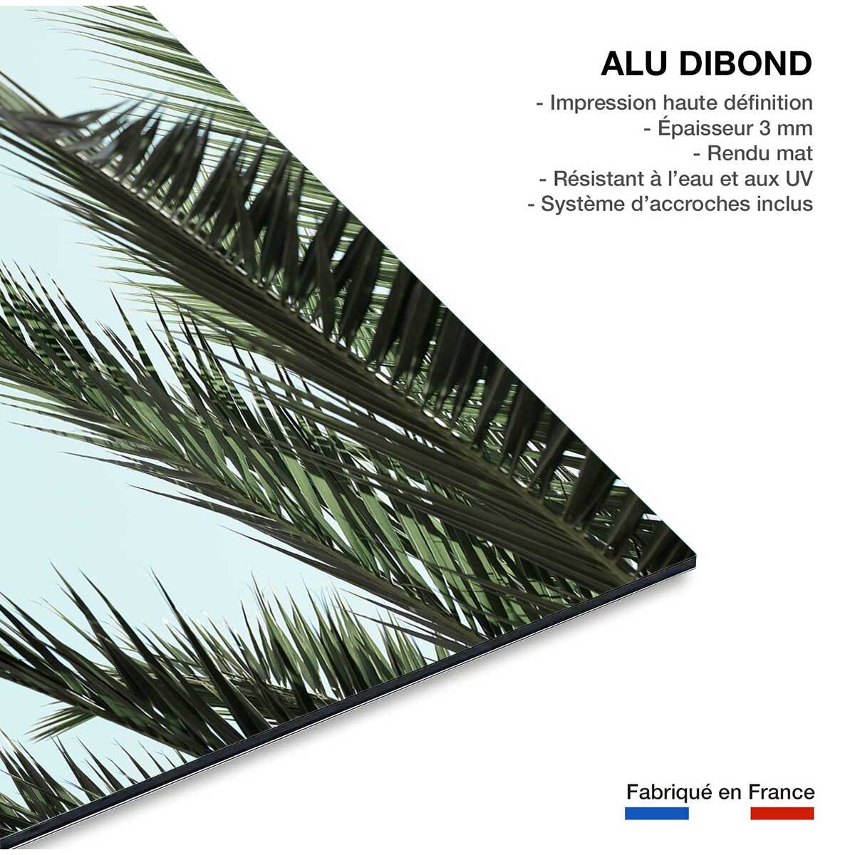 Tableau palme bleue Tableau alu Dibond