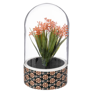 Planta "ali" cloche h21cm