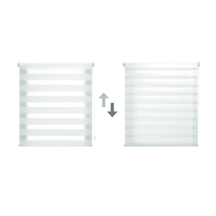 Store enrouleur Polyester Translucide Multicolore