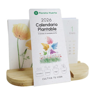 Calendario plantable de Navidad 2026 Transforma el tiempo en naturaleza Planeta Huerto