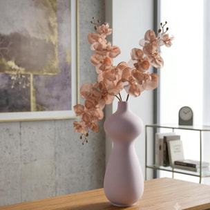 Phalenopsis br/gold - Pezzi 12 - ALTRO - Bianchi Dino SpA