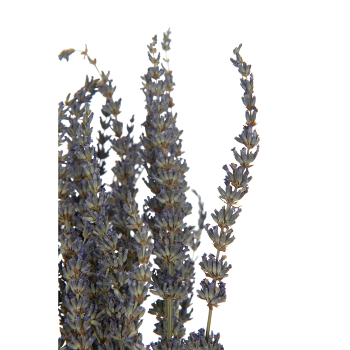 J-Line plante artificielle Bouquet Lavande Seché - rotin - mauve