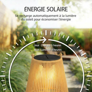 Lot de 2 lanternes LED solaires suspendues de jardin résine filaire effet rotin