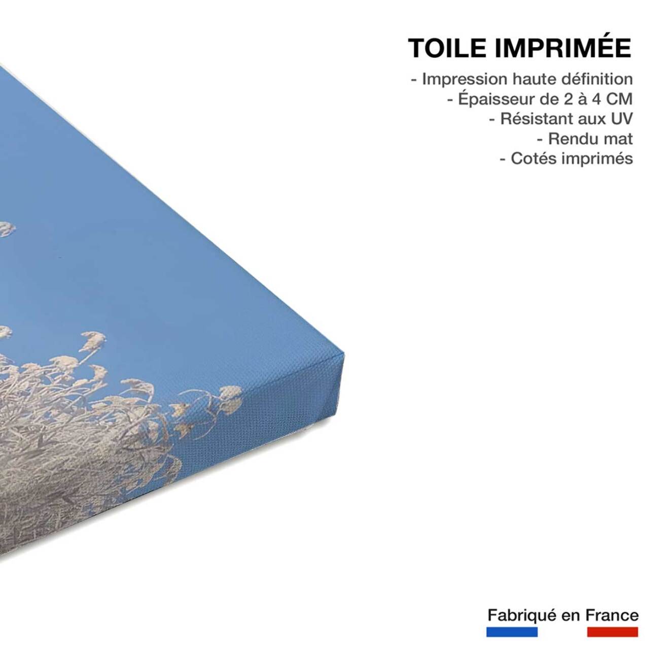 Tableau cygnes dans le givre matinal Toile imprimée