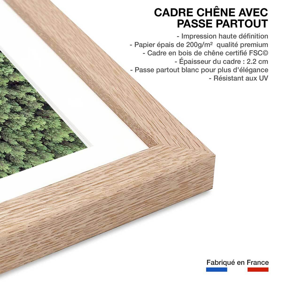 Affiche infinitude de la forêt landaise Affiche + cadre en bois - Chêne