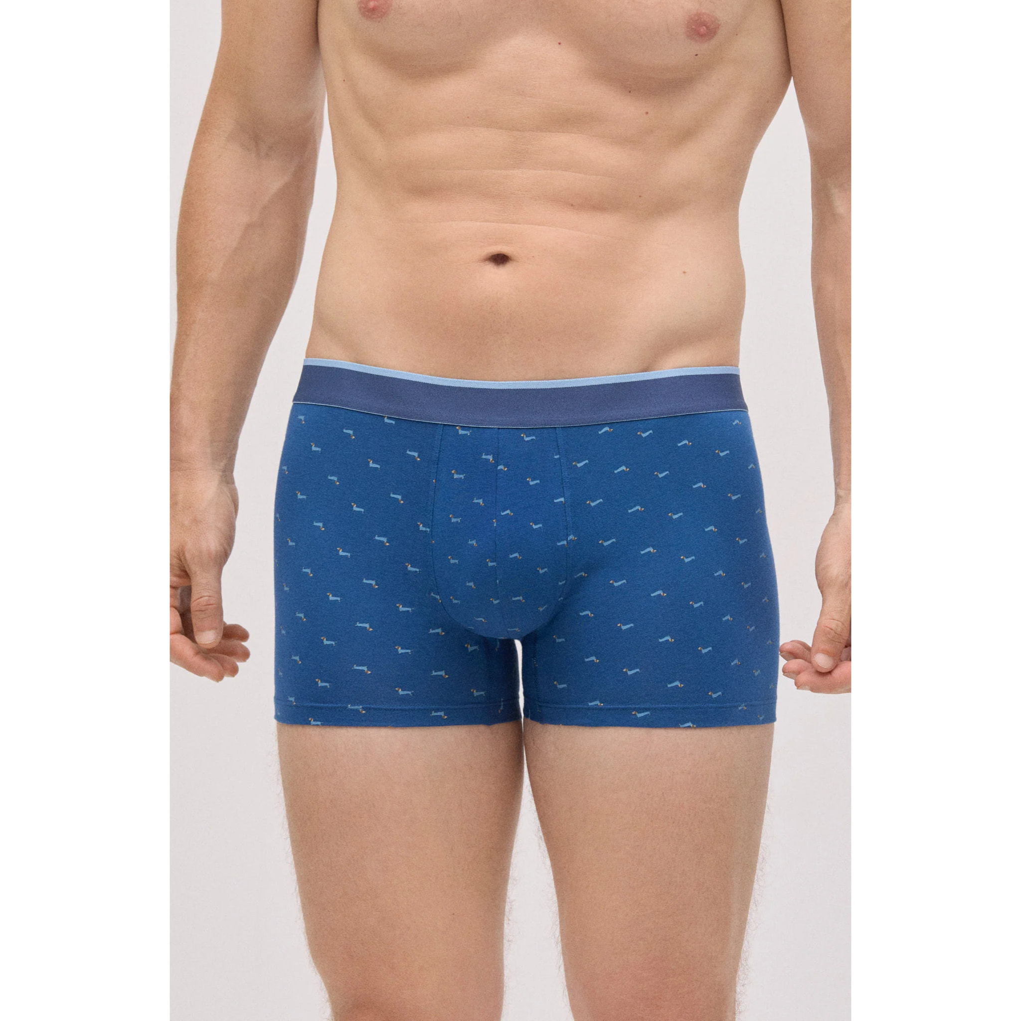 Confezione di boxer e calzini stampati con bassotto