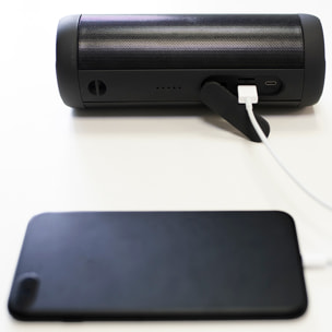 Altavoz MAGNUSSEN S2 - Negro