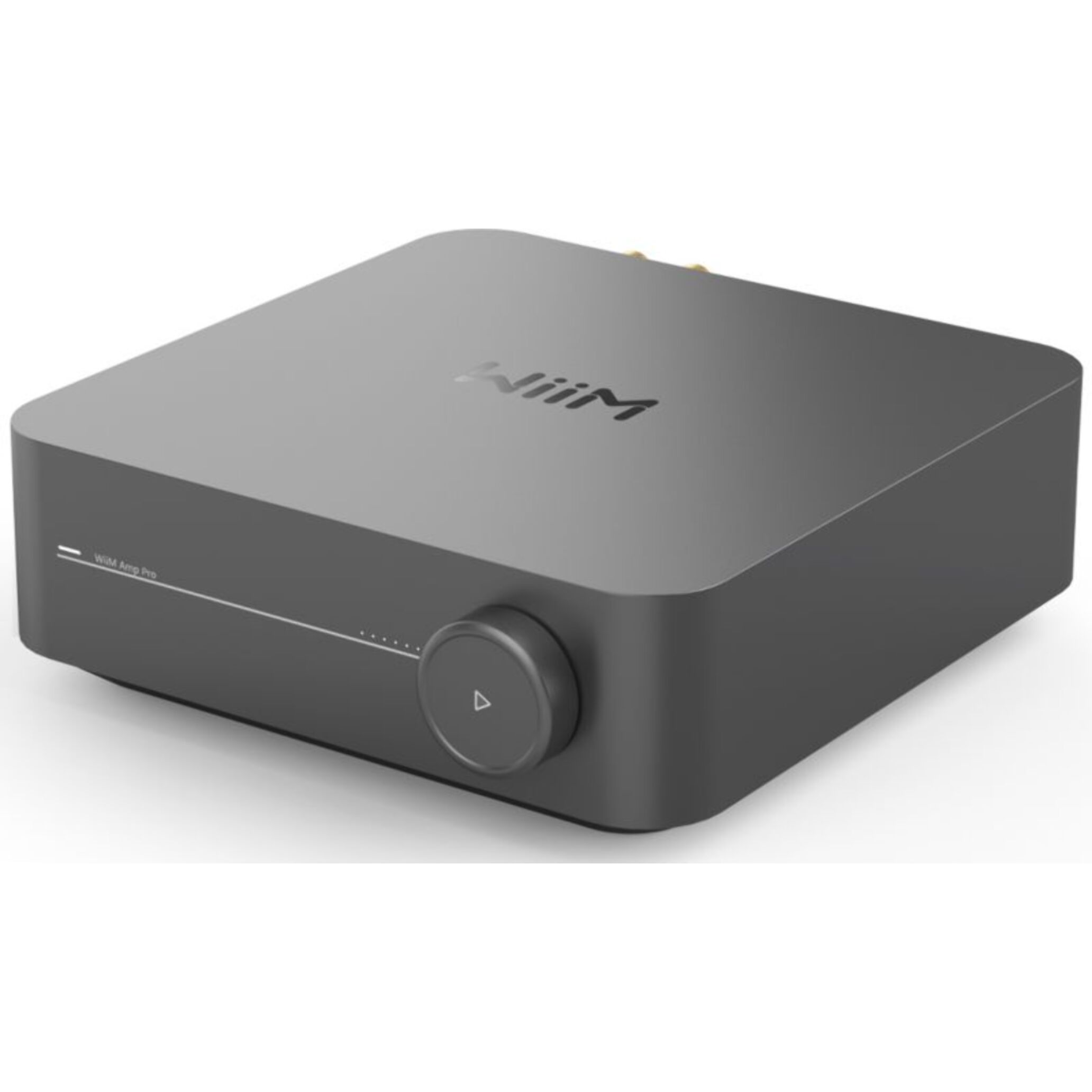 Amplificateur HiFi WIIM amp pro