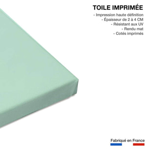 Tableau loutre en baignade Toile imprimée