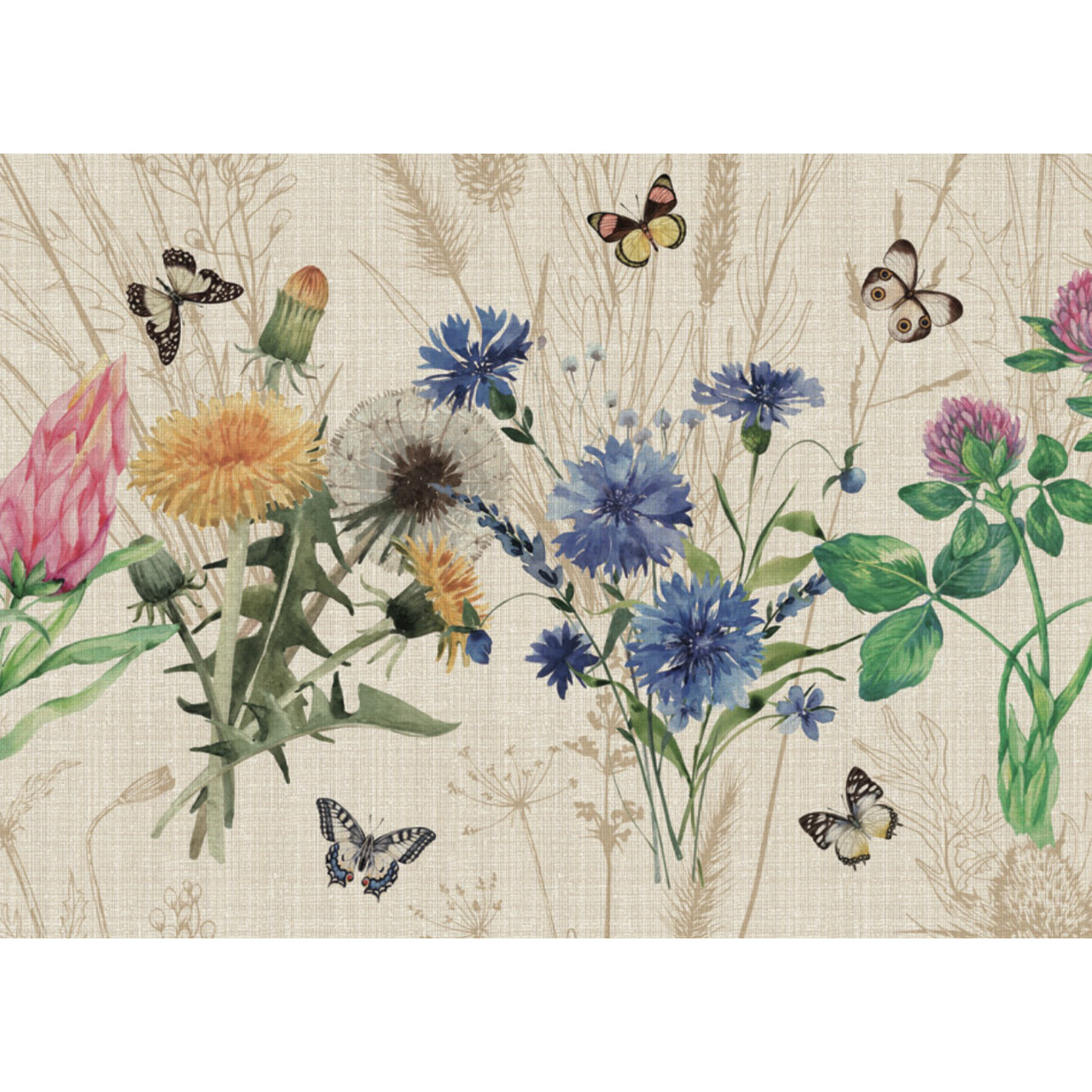 Tappeto Passatoia Cucina Con Retro Antiscivolo Antisfilo Linea Futura Erbacce