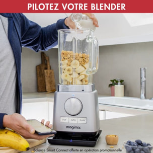 Blender MAGIMIX Power 5 XL Chrome Mat 11643