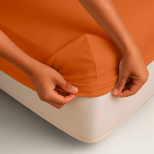 Naturals - Sábana bajera Lisa - Ajustable - 100% Algodón - Terra