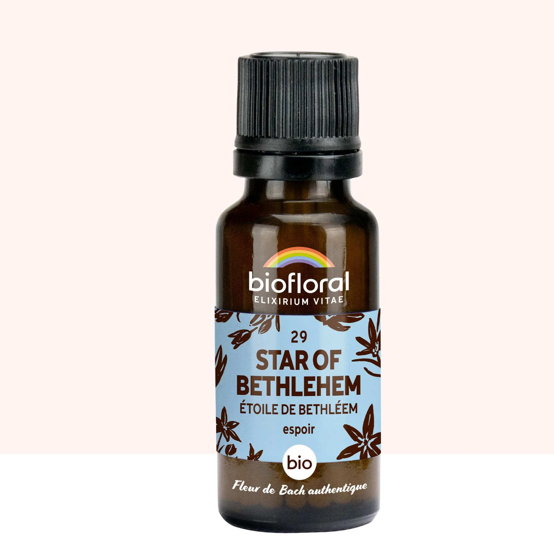 Biofloral - 29 Star of Bethlehem, Étoile de Bethléem - Bio - 19,5 gr