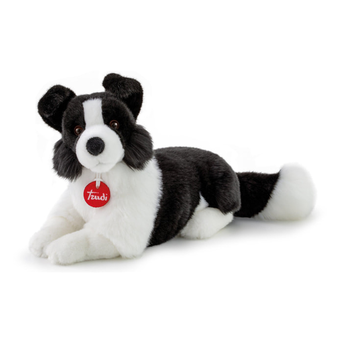 Trudi TUDN8000 - Border Collie Scott Taglia M