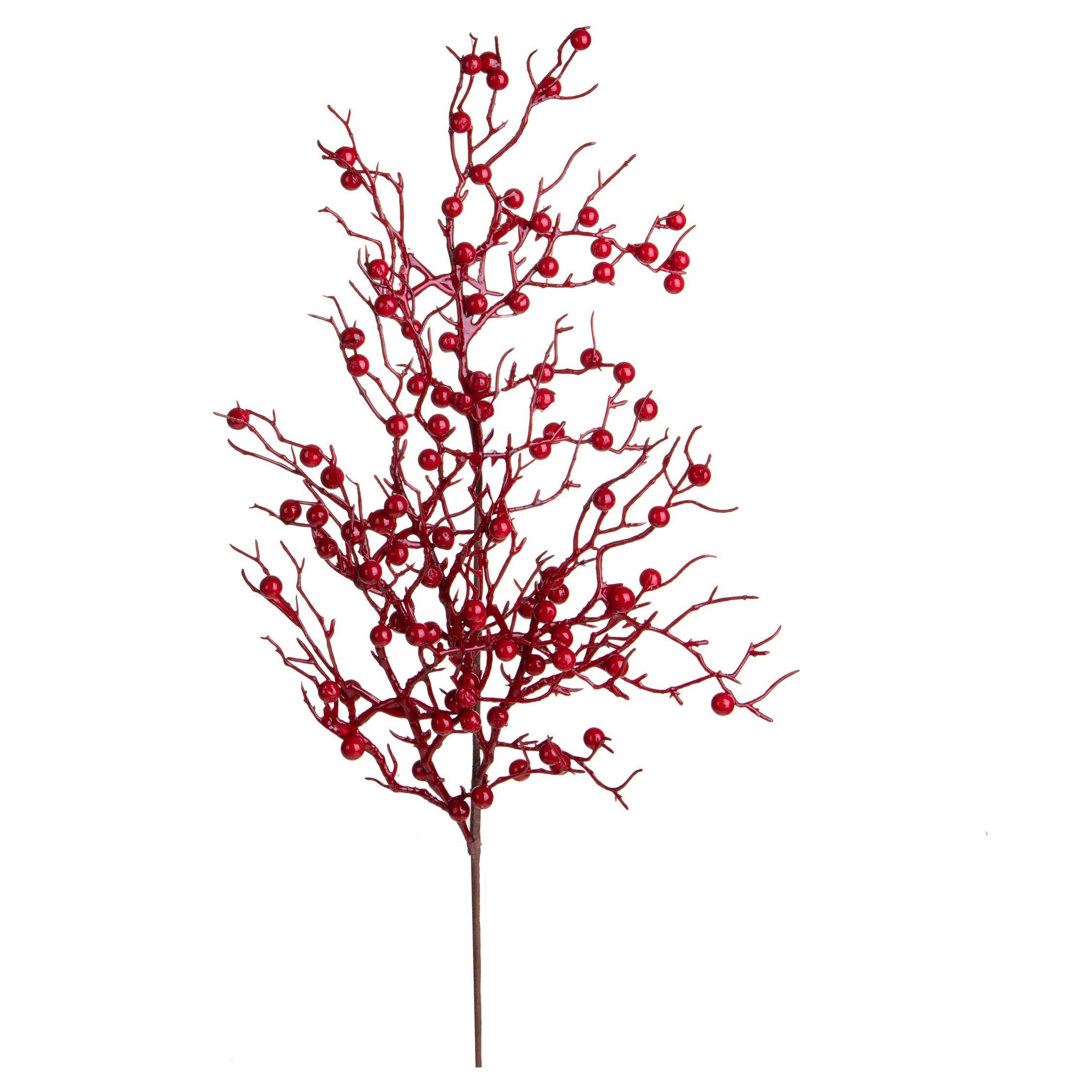 Ramo corallo con ilex - Pezzi 12 - ROSSO - Bianchi Dino SpA