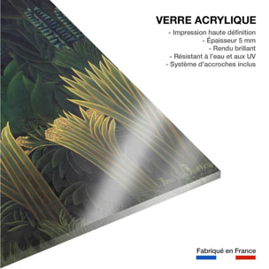 Tableau célèbre le Charmeur de Serpent d' Henri Rousseau Tableau plexiglas