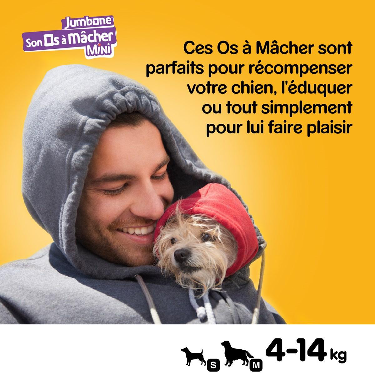 PEDIGREE Son Os à Mâcher Récompenses pour petit chien 48 friandises (12x4)