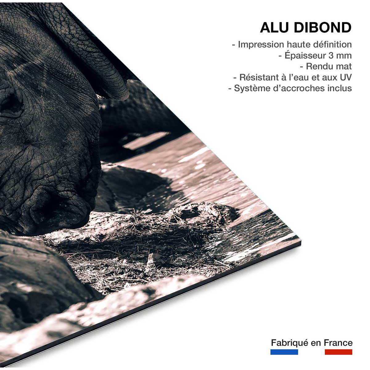 Tableau rhinoceros hommage à sudan.. Tableau alu Dibond