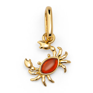 Charm Cangrejo Baño Oro