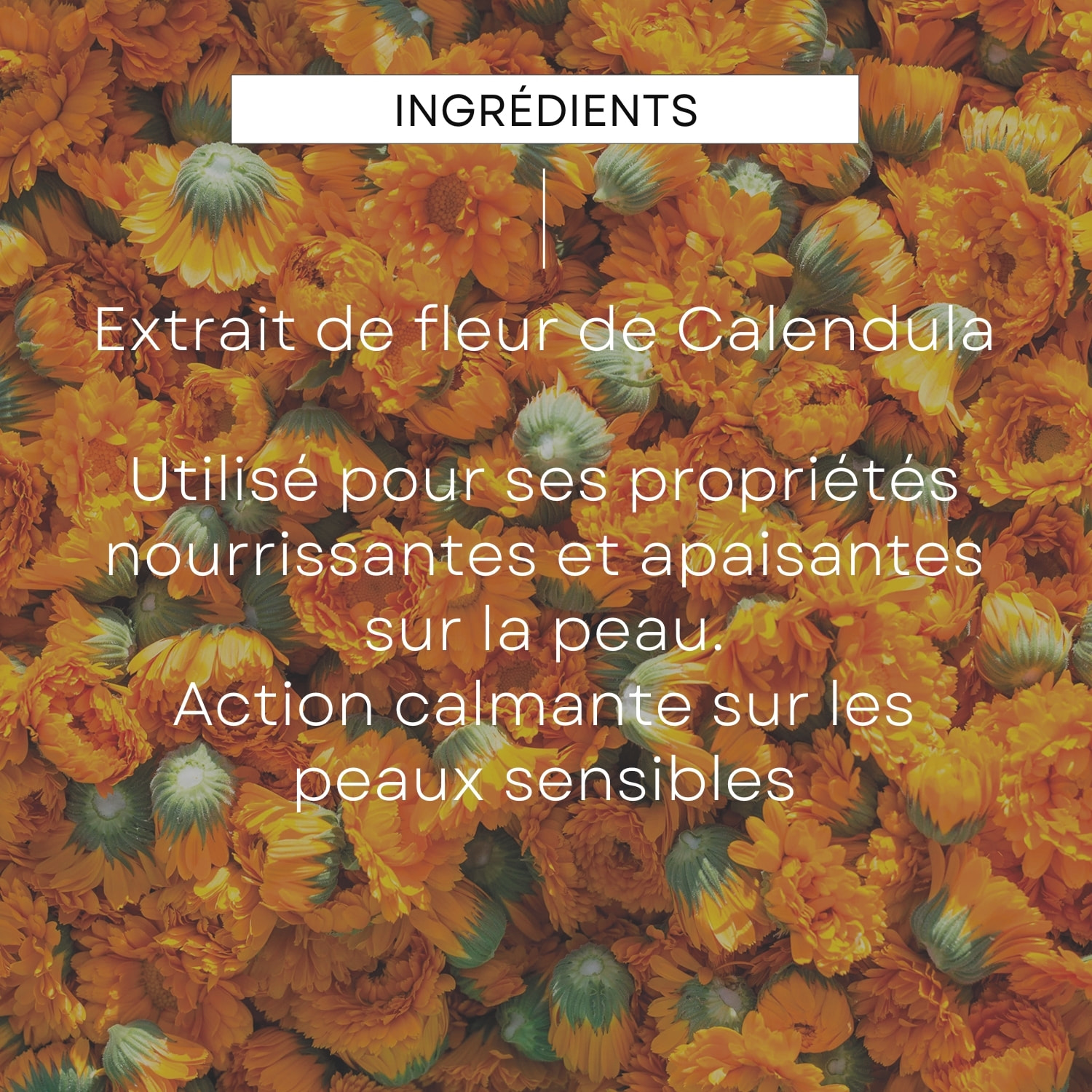 WELEDA - Lait Corps hydratant Calendula - 200 ml