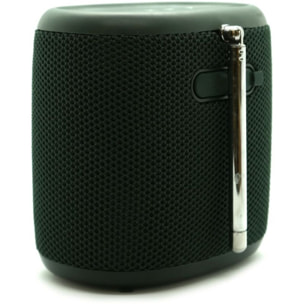 Radio DAB PURE Woodland Mini Green
