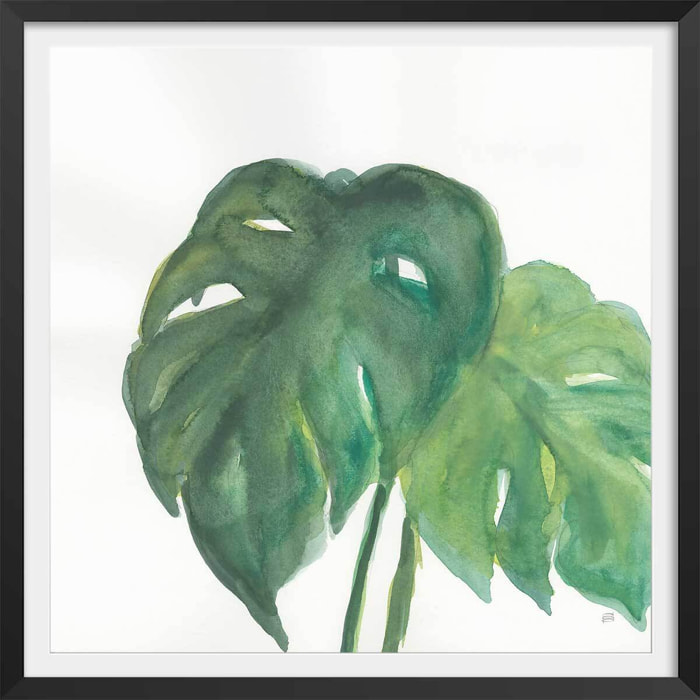 Affiche Plante monstera watercolor Affiche + cadre en bois - Noir