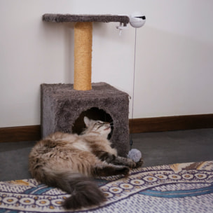 Jeu Interactif Pour Chat A Visser Chat'scenseur