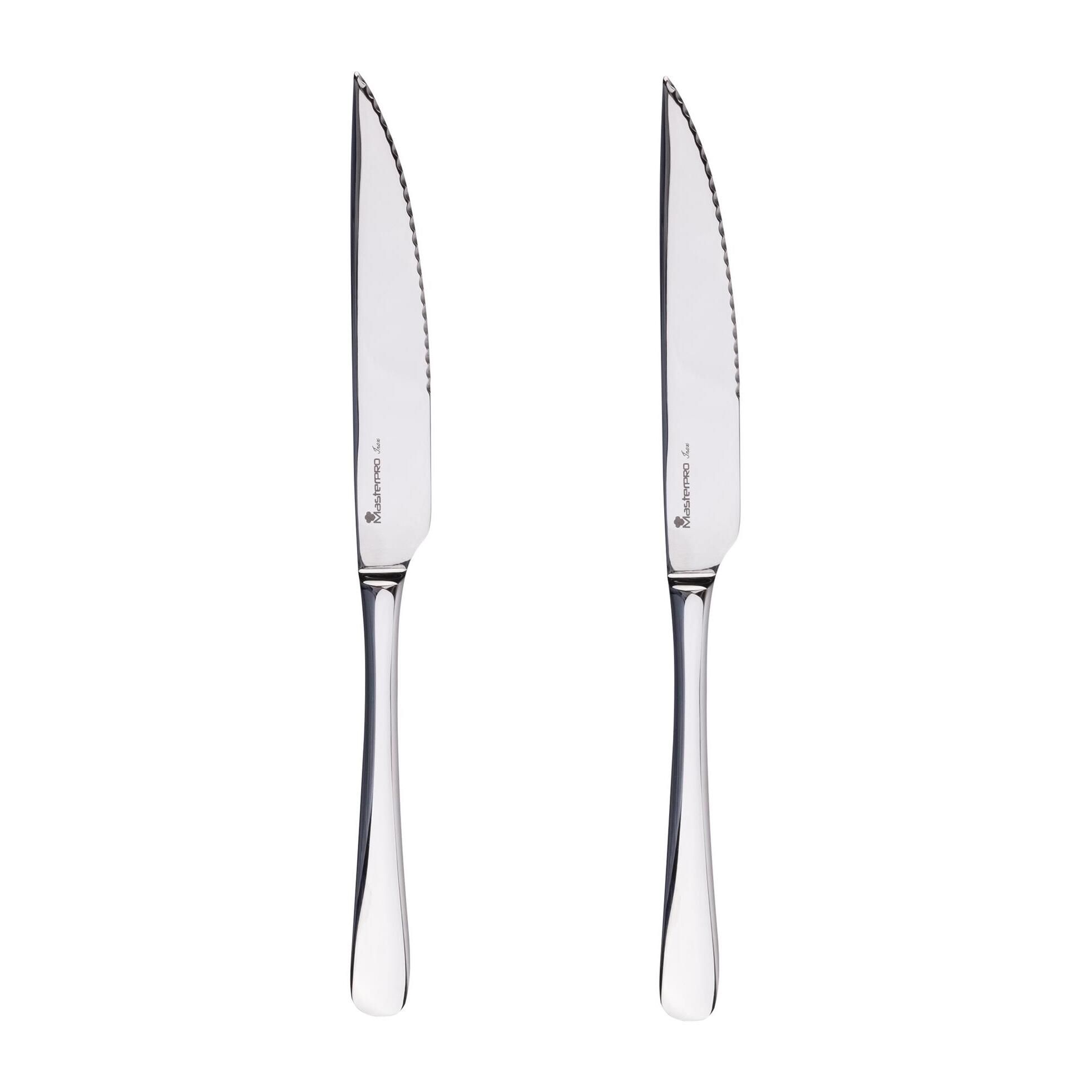 Set de 12 cuchillos de carne de acero inoxidable en acabado brillo foodies