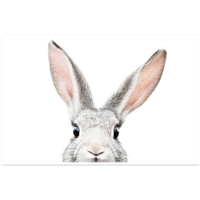 Affiche enfant lapin  Affiche seule