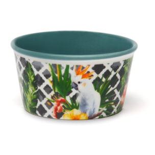 Ensemble de 6 bols 8,7 cm Excelsa – Tropical Chic, New Bone China Multicolore