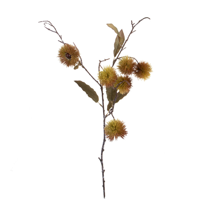 Ramo castagno - Pezzi 12 - 24xH86x15cm - Bianchi Dino SpA