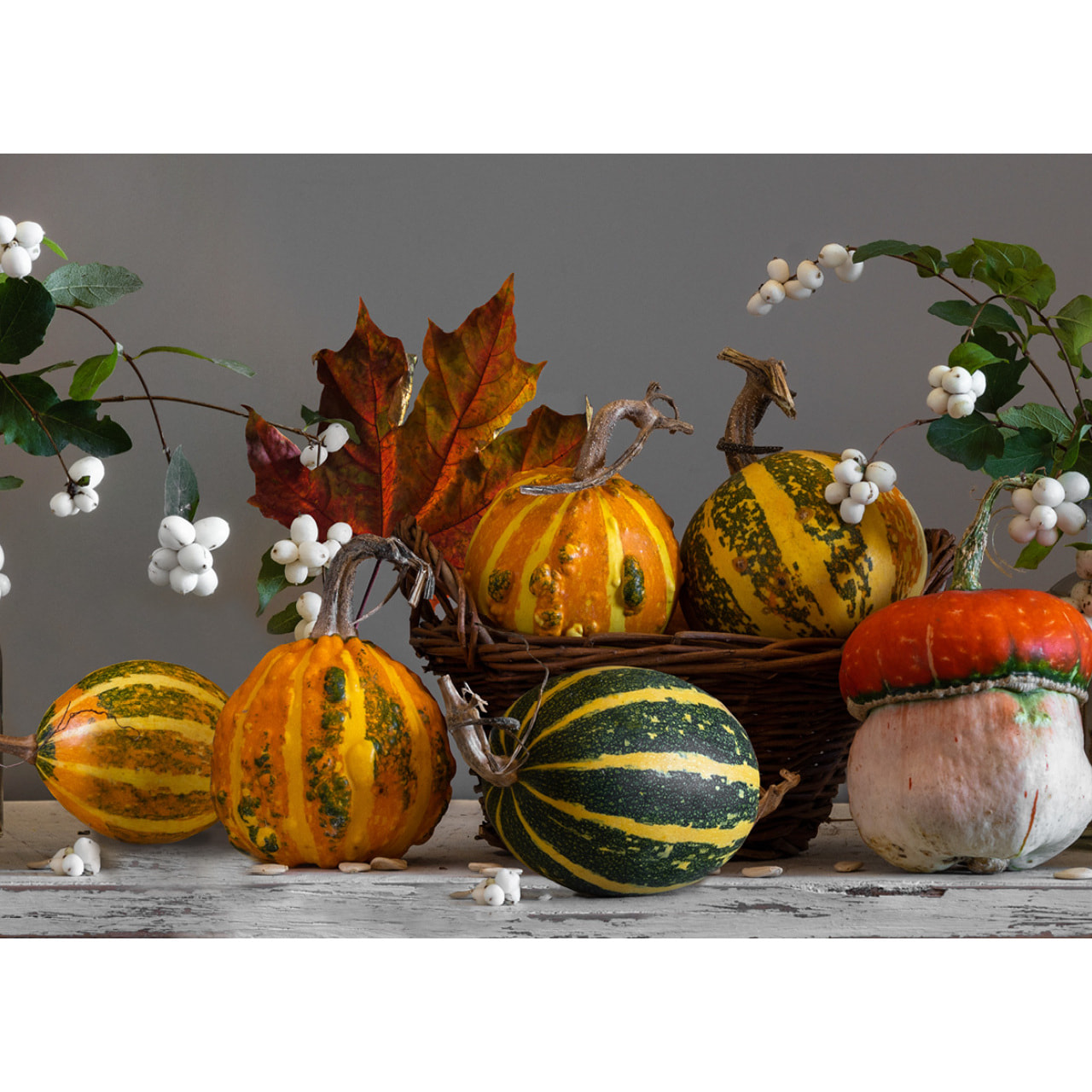 Tappeto Passatoia Corsia Cucina Ingresso Antimacchia Disegno Zucche 492