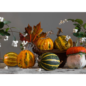 Tappeto Passatoia Corsia Cucina Ingresso Antimacchia Disegno Zucche 492