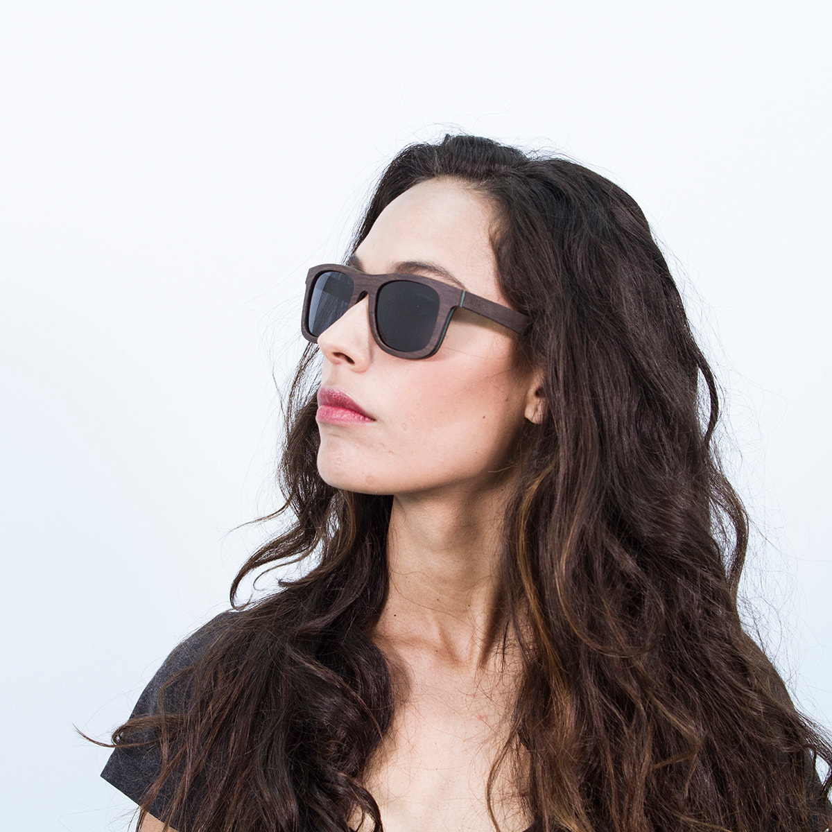 Gafas de sol OCEAN VENICE BEACH - De madera skate marrón oscuro con línea azul y / Ahumada