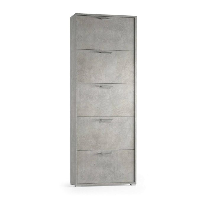 Scarpiera Anina, Mobile multiuso da ingresso con 5 ante a ribalta, Armadietto portascarpe a doppia profondità, 100% Made in Italy, 67x28h183 cm, Cemento