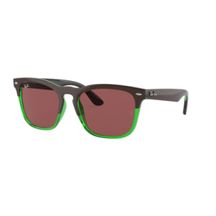 Gafas de sol Ray Ban Unisex RB4487-663469-54